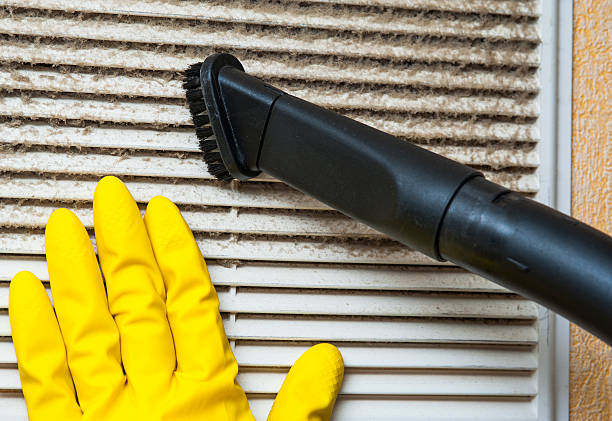 Best Affordable Duct Cleaning Services  in Mokena, IL